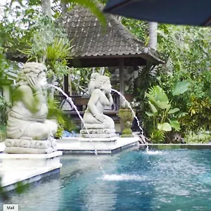Aura Wellness Sanctuary Resort